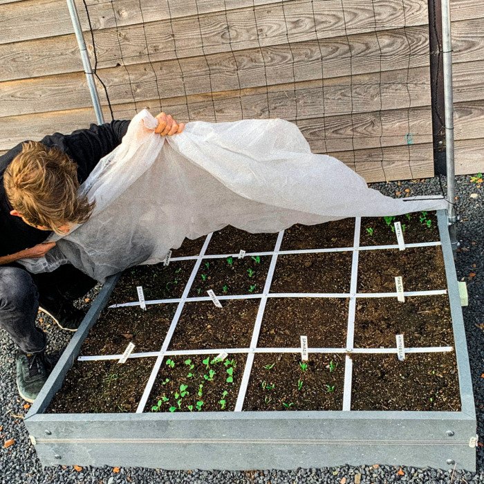 Het vroege voorjaar in de moestuin: gaat het wel goed?