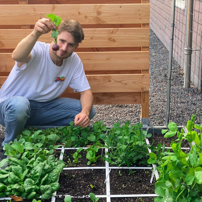 Kunnen je zomerplantjes al naar buiten?
