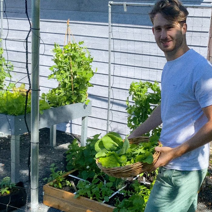 Op naar de zomerse moestuin