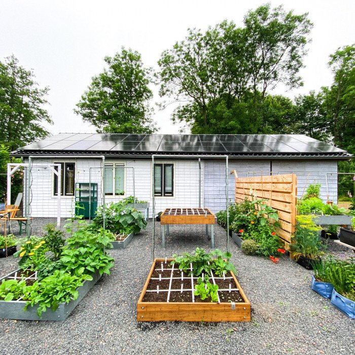 Juli: zomer in de moestuin ☀️