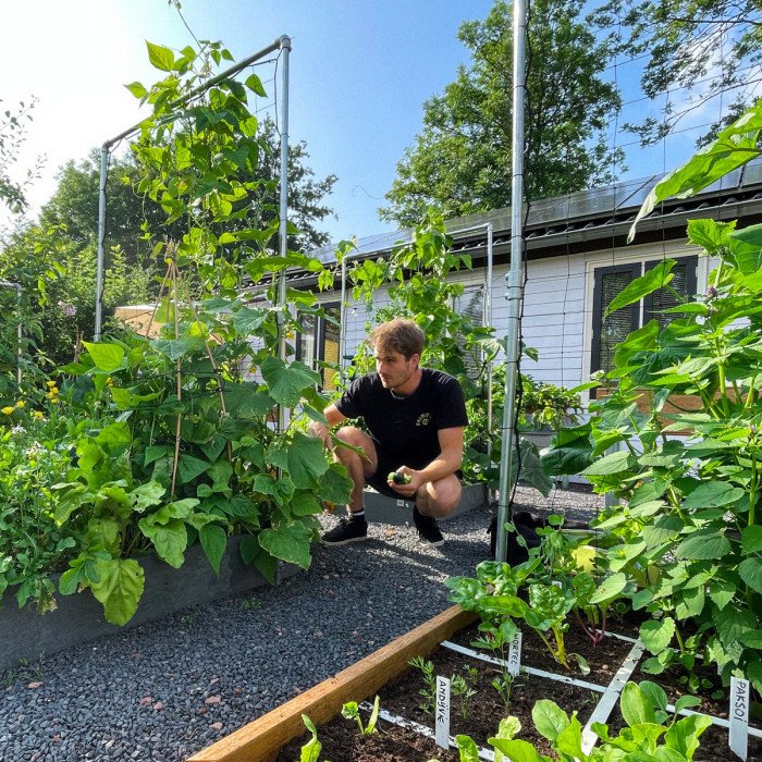 Hoogzomer: oogsten, opfrissen en door