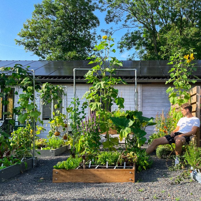 Rondje moestuin begin september