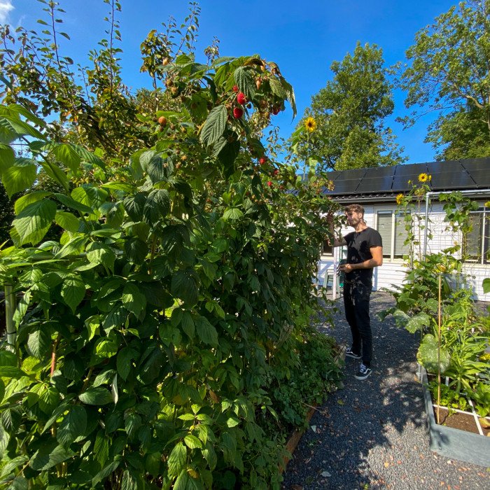 Herfst: wat kun je dan nog in je moestuin?