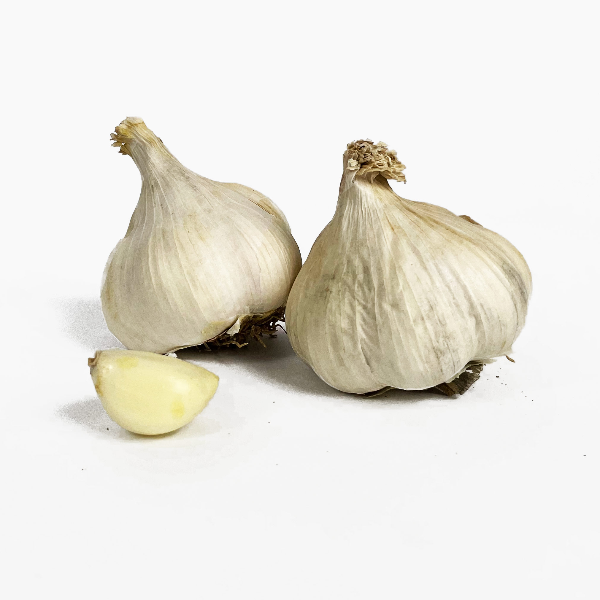 Growing garlic in your vegetable garden