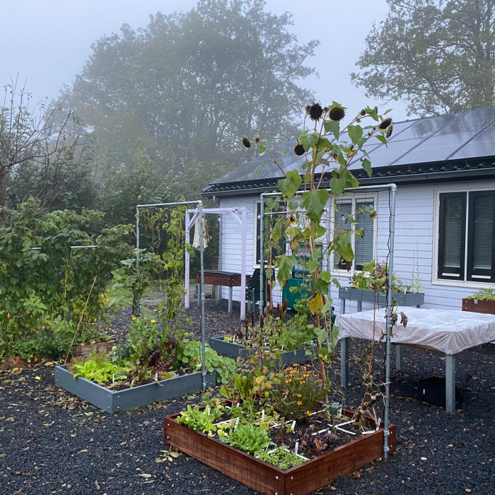 Begin november: actueel moestuinnieuws