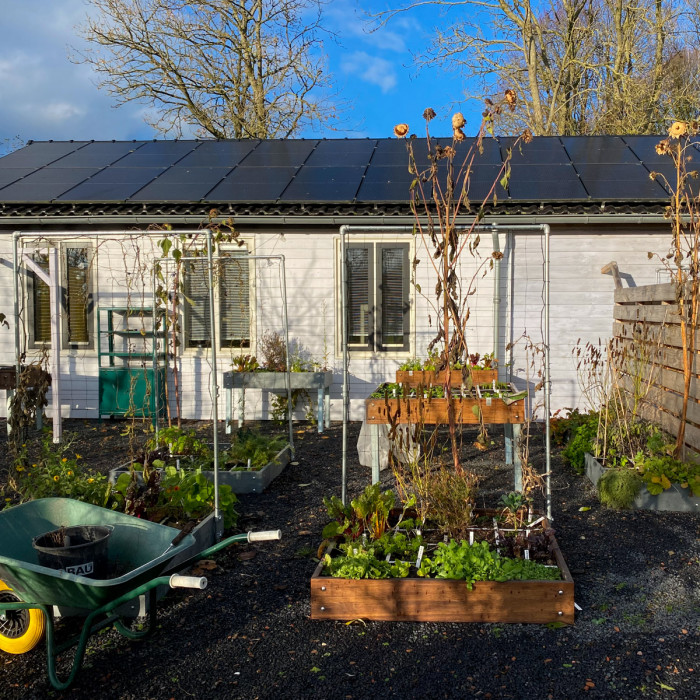 December: einde van moestuinseizoen