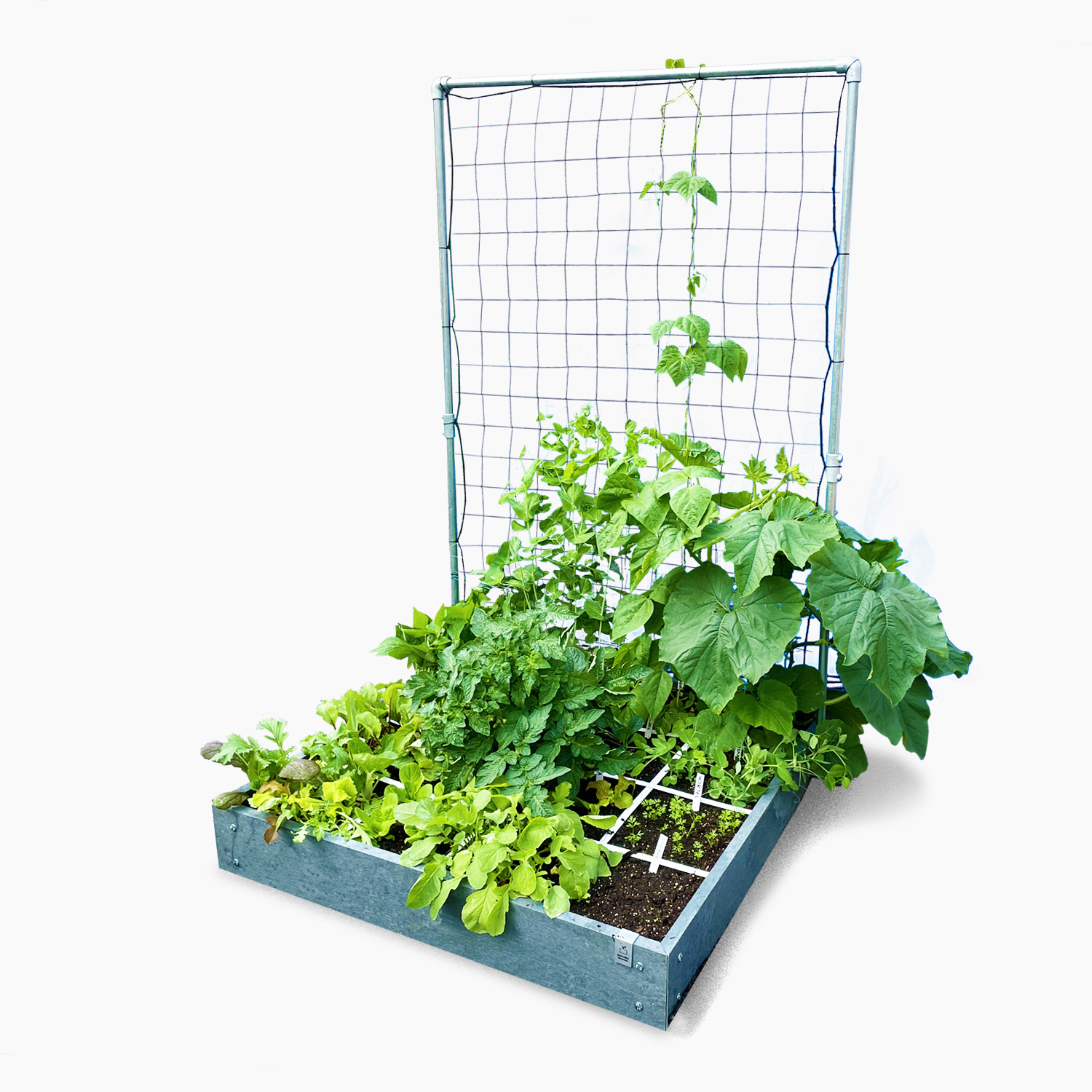 startpakket-mm-hero-groot-met-planten.jpg