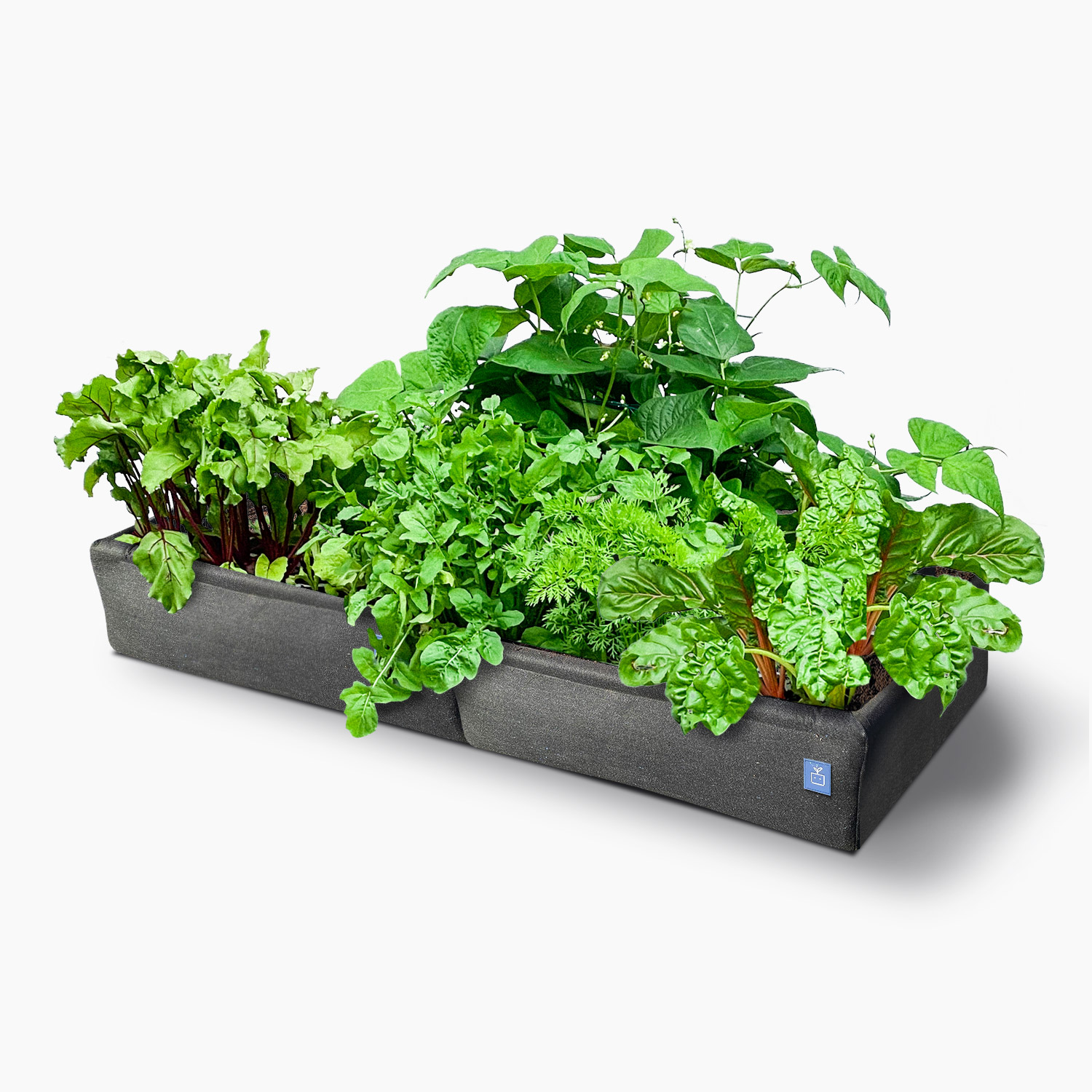 mm-airbak-met-planten.jpg