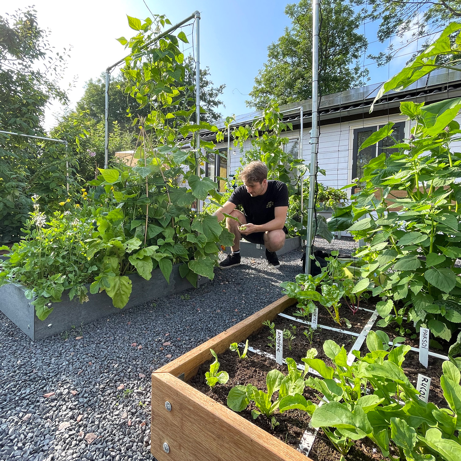 moestuinbakken-sfeerbeeld.jpg
