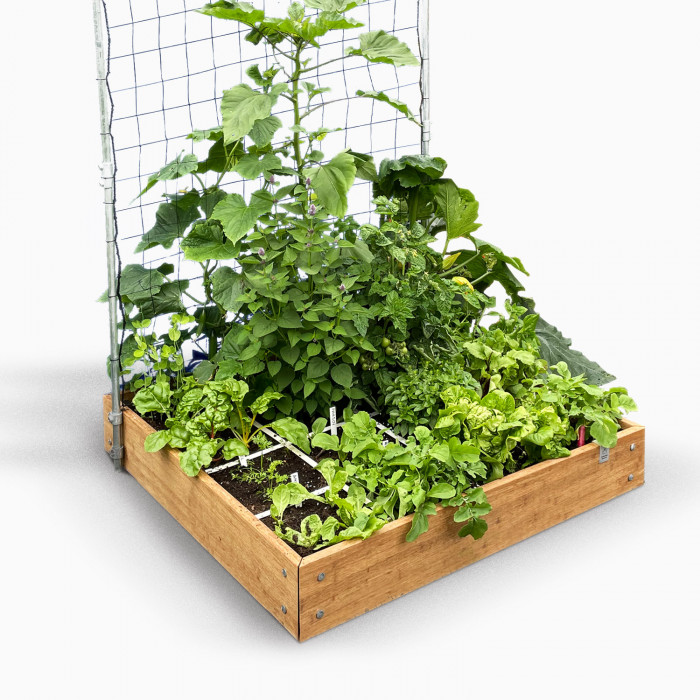 Groot startpakket - MM-bamboo