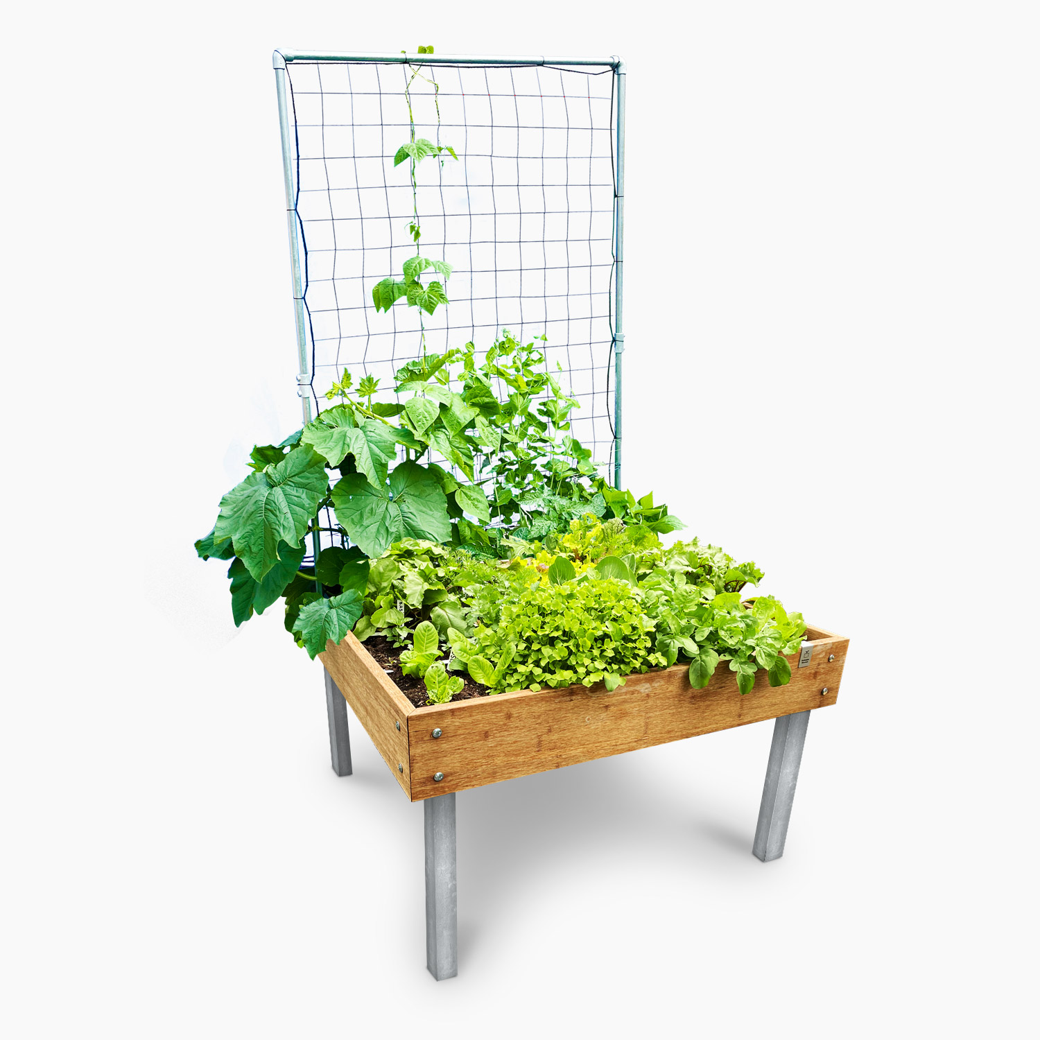 startpakket-mm-bamboo-groot-tafel-met-planten.jpg