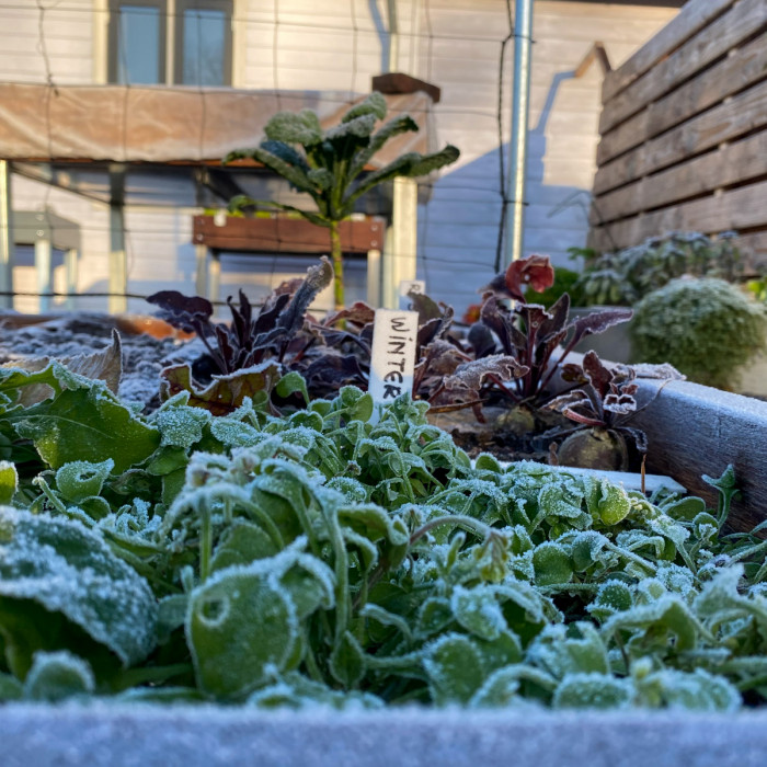 Het laatste moestuinnieuws voor 2023