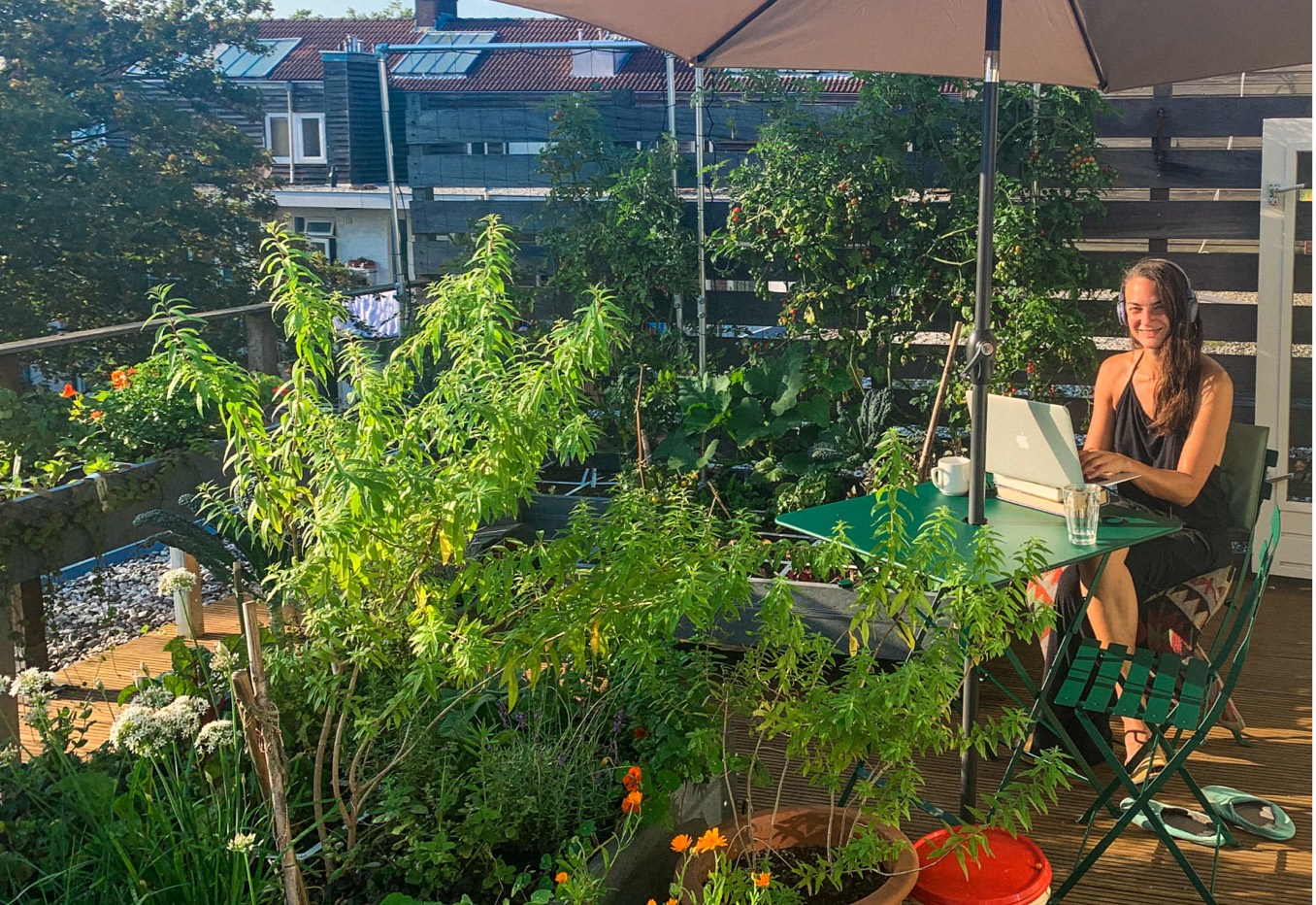 Moestuinsessies.jpg