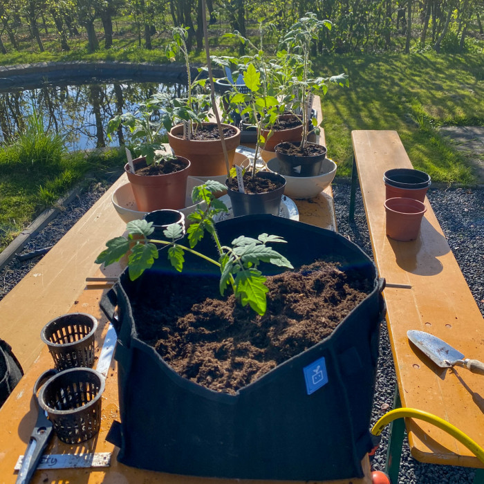 Mei: mijn favoriete moestuinmaand