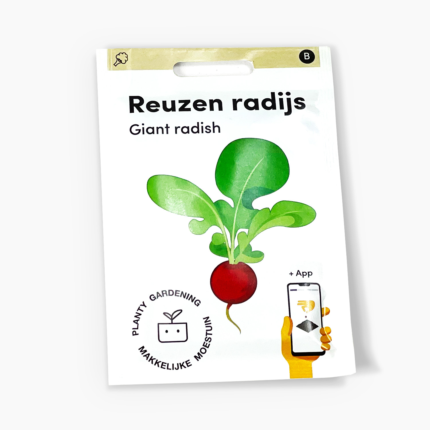 Radijs.jpeg