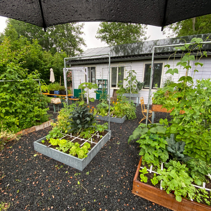 Is je moestuin nu wat minder mooi?