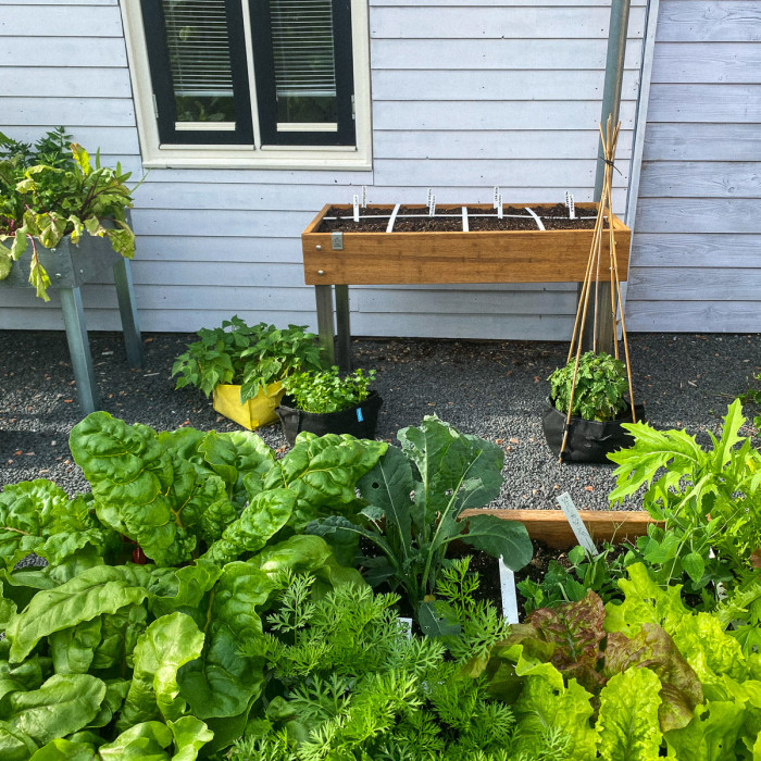 Over moestuintafels en zomergroentes